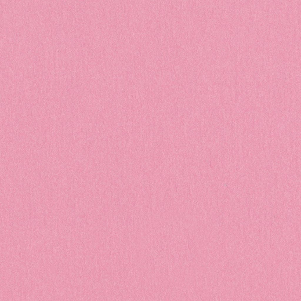 Crescent Select Conservation Colors Carnation