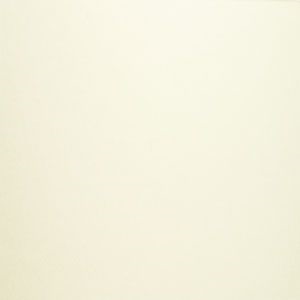 AI 0540 Crescent Conservationboard  Ivory  0,5 mm