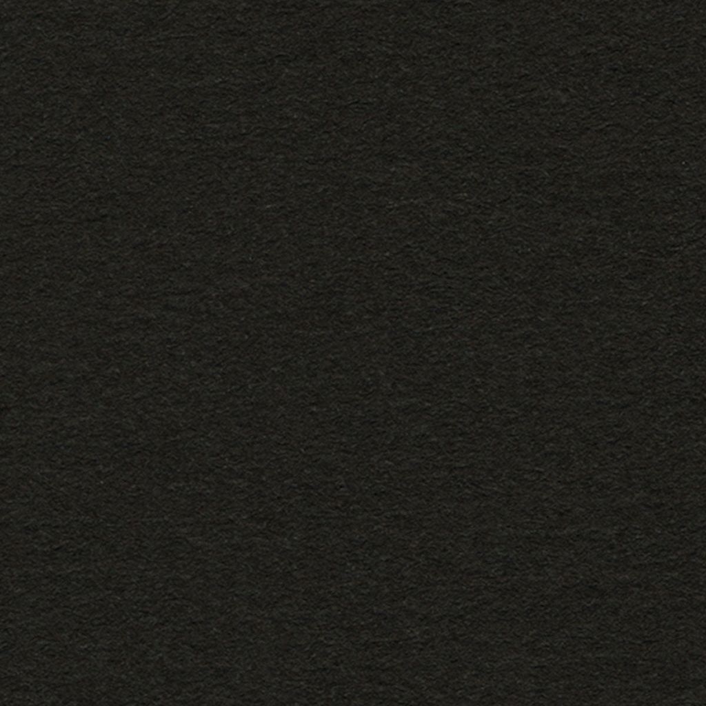 Crescent Select Conservation Basic Black Belt