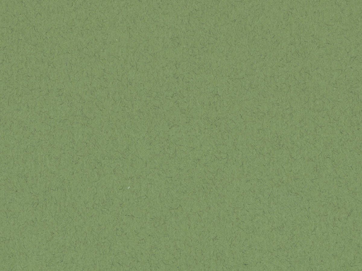 Crescent Better Rag Antiquarian Moss  VE = 25 Bg.