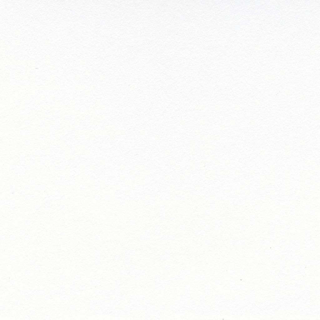 Crescent Select Conservation Basic White Glove