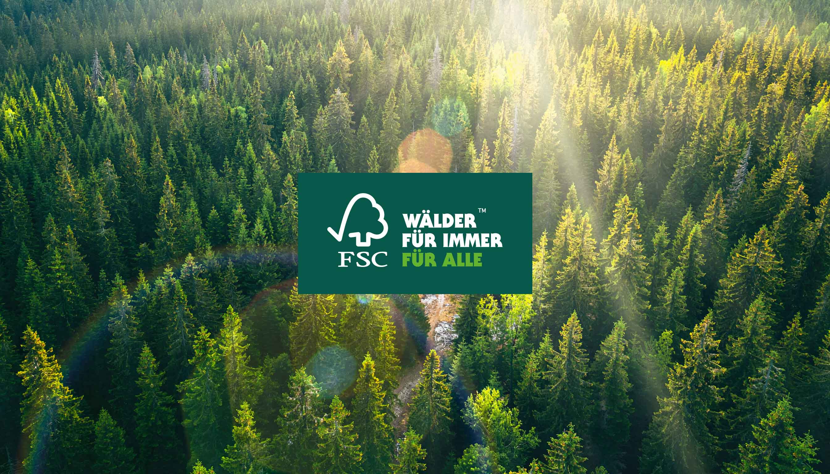 wald-fsc-zertifikat-2